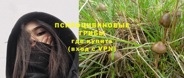 2c-b Галич