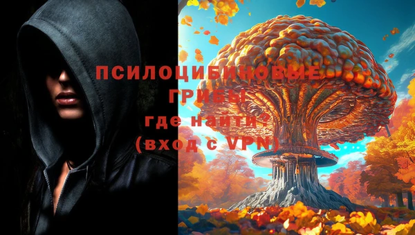 МДПВ Гвардейск