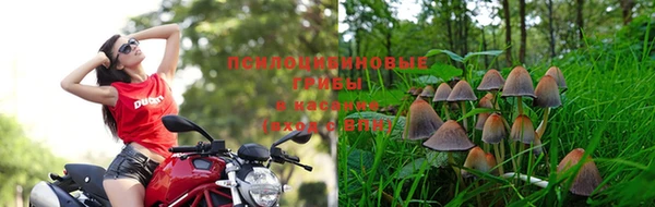 2c-b Галич