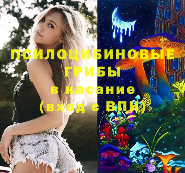 МДПВ Гвардейск
